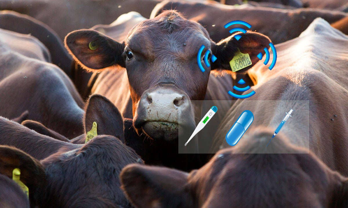 livestock-tech
